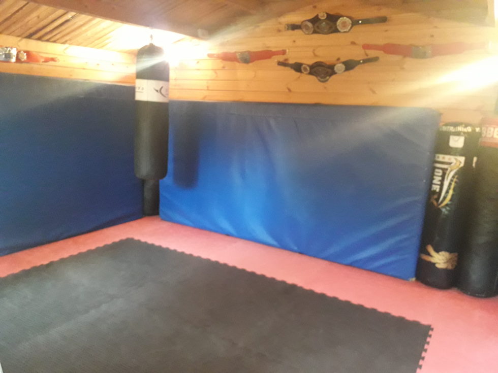 Danny's home gym log cabin